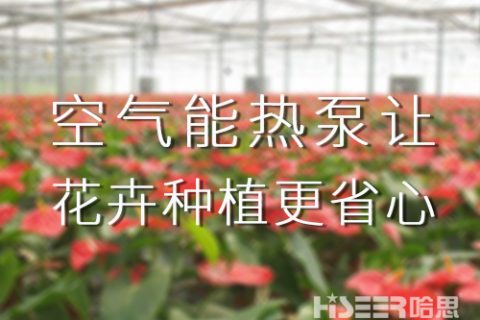 空氣能熱泵讓花卉種植更省心，優(yōu)品率可達(dá)90%以上